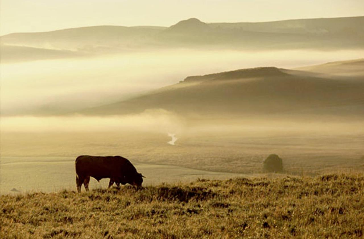 Kyriad Saint Chely D'Apcher - Aire De La Lozere Albaret-Sainte-Marie Экстерьер фото